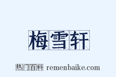 梅雪轩是什么意思的图片